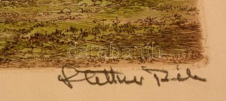 Stettner Béla (1928-1984): Itató. Színezett rézkarc, papír, jelzett, 18×28 cm