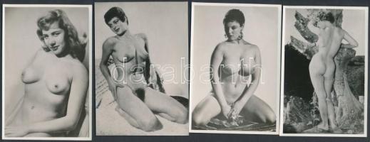 cca 1970 Férfi bukszák titkos rekeszének rejtett szépségei, trafikok részére készített 13 db-os koll...