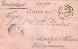 1899 Győr, Vasútállomás, kiadja Berec Viktor (fa)