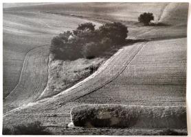 cca 1975 Gebhardt György (1910-1993): Mezőgazdasági táj, feliratozott vintage fotóművészeti alkotás, 29,5x40 cm