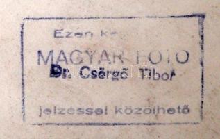 cca 1960 Dr. Csörgeő Tibor (1896-1968): Rendelőben (Bp., XI. ker., Fehérvári út), pecséttel jelzett ...