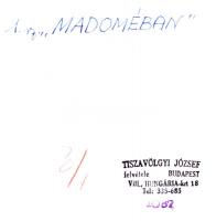 cca 1965 Tiszavölgyi József (1909-?): Madoméban (a Budapesti Fotóklubban), pecséttel jelzett vintage...