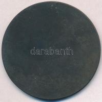 1959. "A Szakszervezeti Üdültetés 10-ik évfordulójára" fém emlékérem, eredeti tokban (60mm...