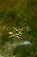 "Szeged - Algyő, 1965-1985" feliratú mázas kerámia korsó, jelzett, apró kopásnyomokkal, m:...