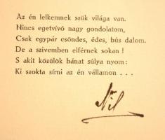 Nil: A szívem. Békéscsaba, 1909, Tevan Adolf könyvnyomdája. Kiadói szakadozott, foltos papírkötés. F...