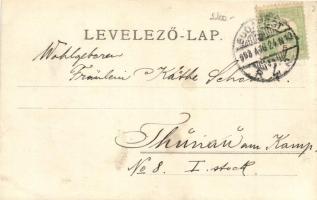 1908 Budapest I. Corvin tér, gyógyszertár, Kiss László, Kardos L. és Lőwy Salamon üzlete, Tejcsarnok...