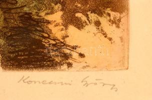 Konecsni György (1908-1970): Napsütés. Színezett rézkarc, papír, jelzett, üvegezett keretben, 29×39 ...