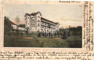 Budapest XII. Erzsébet királyné szanatórium, főépület (EK)