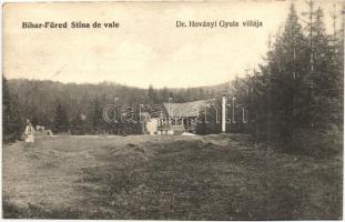 Biharfüred, Stina de Vale; Dr. Horványi Gyula villája, kiadja Helyfi László / villa