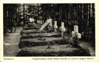 Kőrösmező, Jasina; Világháborúban elesett hősök temetője az ezeréves magyar határon / military heroes cemetery