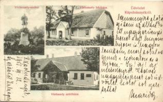 Kápolnásnyék, Vörösmarty szobor, szülőháza és lakóháza, Wessely Zsigmond kiadása