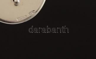 Ezüst(Ag) lófejes pénzcsipesz, jelzett, 5,8x3 cm, bruttó: 23,5 g