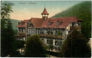 Iglófüred, Spisska Nova Ves Kupele; Millenium szálló, kiadja Vlaszlovits Gusztáv / hotel