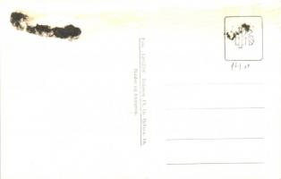 Csobánka, Utcarészlet, 'Gegess' photo (ragasztónyom / gluemark)