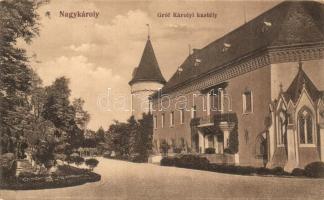 Nagykároly, Carei; Gróf Károlyi kastély / castle