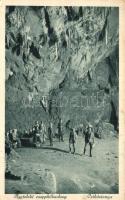 Aggtelek, Cseppkőbarlang, Csikóstanya (fa)