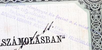 Budapest 1885. "Sóskút Kőbánya-Részvény-Társulat Felszámolásban" részjegy (részvény), bély...