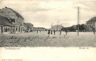 Gyulafehérvár, Alba Iulia; Novák tér, Fuchs Nándor és Weisz Adolf üzlete, kiadja Petri F. Vilmos / square, shops (EK)
