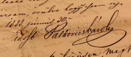 1888-1892 Palkovics Károly (1816-1897) Esztergom polgármestere, országgyűlési képviselő, 1848-1849-e...