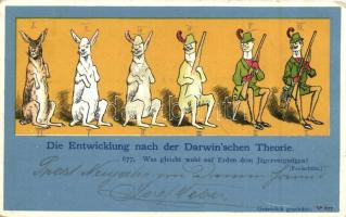 Die Entwicklung nach der Darwinschen Theorie / Humorous hunting postcard, rabbit (EK)