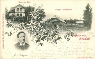 Krieglach, Roseggers Villa, Roseggers Geburtshaus, floral (EB)