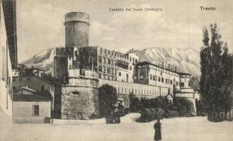 Trento, Castello delbuon Consiglio / castle