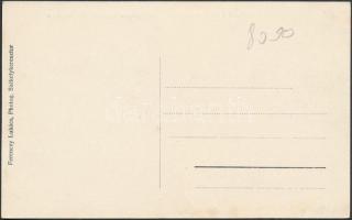 Fiatfalva, Filias; Nagyságos Ugron Zoltán kastélya, kiadja Ferenczy Lukács / castle