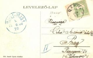 Dárda, Darda; Kossuth Lajos utca, Inselt Gyula üzlete és kiadása / street, shop (EK)