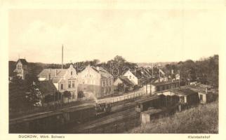 Buckow, Kleinbahnhof / railway station, locomotive