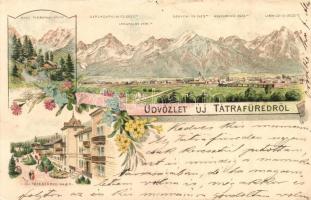 1895 Újtátrafüred, Nagy-Tarpataki völgy / valley, floral, litho (ázott / wet damage)