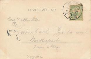 Szeged, MÁV Üzletvezetőség, Kosmos litho