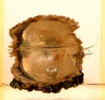 Öngyújtó kagylóval és "igazgyönggyel", apró lepattanással, m:10 cm