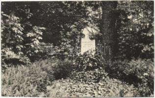 Mácsa, Macea; Gróf Károlyi Gyula kastélya, park, Damjanics-Lahner sírja / castle park, tomb