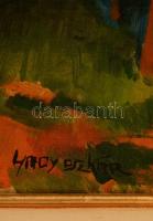 Nagy jelzéssel: Utca részlet. Olaj, vászon, kertben, 45×52 cm