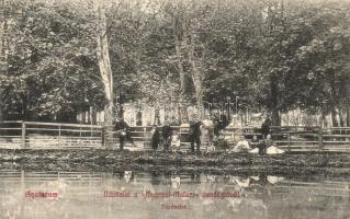 Budapest III. Aquincum, Krempel-Malom vendéglő, tó (ázott / wet damage)