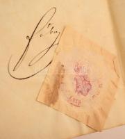 1877 Őfelsége a király nevében a Magyar Királyi Curia, mint legfőbb ítélőszék által hozott ítélet, W...