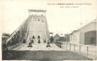 Budapest IX. Népliget, szánkó-vasút; Bayer György tulajdona