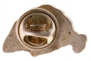 DN "Így volt - Így lesz" modern zománcozott fém irredenta gomblyukjelvény (24x13mm) T:2