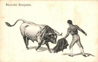 Budapesti bikaviadal (EB)