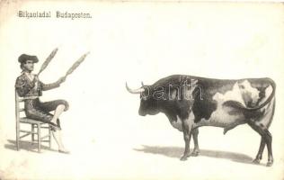 Budapesti bikaviadal (EK)