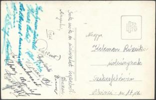 Budapest XII. Svábhegy, Fehér Kereszt Egyesület Erdei Gyógyintézete, Béla király út 20., Buges photo