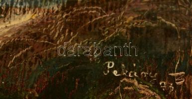 Pekáry jelzéssel: Kunyhó. Olaj, papír. szakadással, 38×48 cm