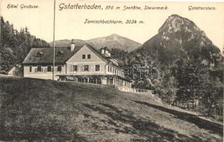 Gstatterboden, Hotel Gesause, Tamischbachturm, Gstatterstein