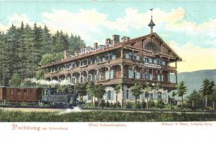 Puchberg am Schneeberg, Hotel Schneebergbahn, locomotive