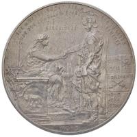 Ausztria 1894. "Otto Voetter" Ag emlékérem Otto Voetter munkásságának emlékére (15,23g/31m...