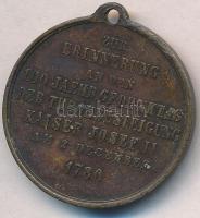 Ausztria ~1880. "II. József trónra lépésének 100. évfordulójára" Br emlékérem füllel (30mm...