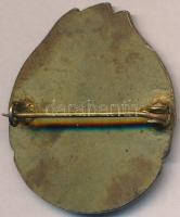 Csehszlovákia DN "Csehszlovák Turista Ifjúság" festett Br jelvény (27x32mm) T:2 patina
Cz...