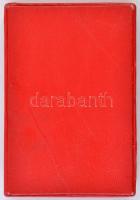 1954. "MRSZ (Magyar Repülő Szövetség) - Kiváló Műszaki" zománcozott Br jelvény, viselésre ...