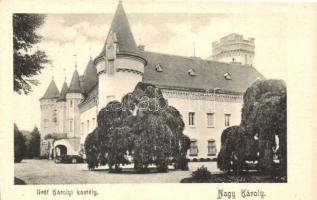 Nagykároly, Carei; Gróf Károlyi kastély / castle