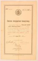 1914 Bp., A Magyar Szent Korona Országainak Vörös Kereszt Egylete által kiállított önkéntes betegápolónői bizonyítvány